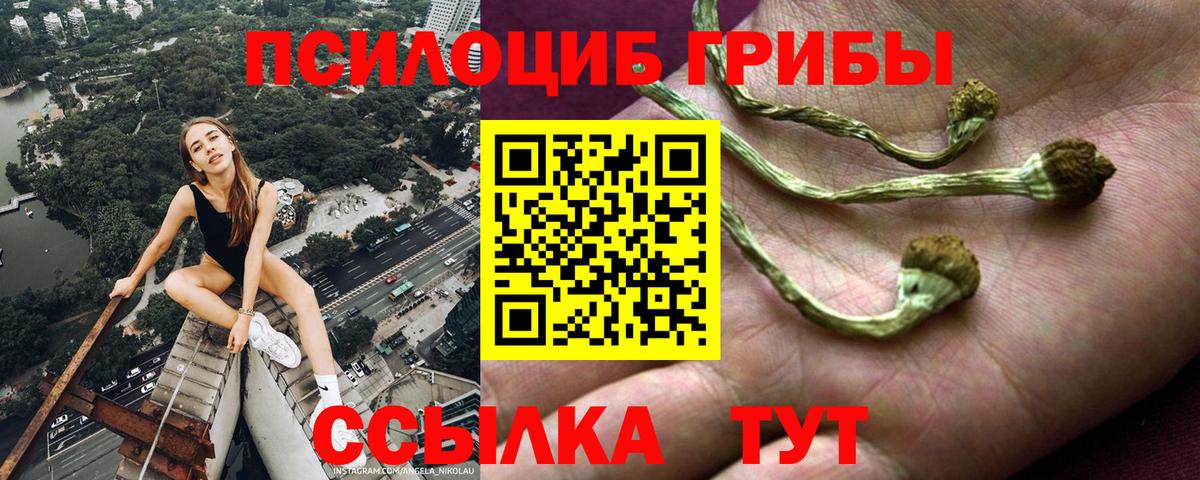 Шадринск  Псилоцибиновые грибы Psilocybine cubensis  Псилоцибиновые грибы Psilocybe  Вход с VPN 