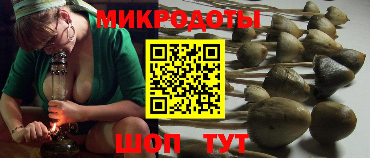 Галлюциногенные грибы MAGIC MUSHROOMS Шадринск